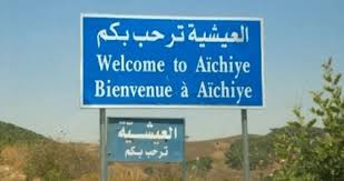 غارة على بلدة العيشية الجزينية