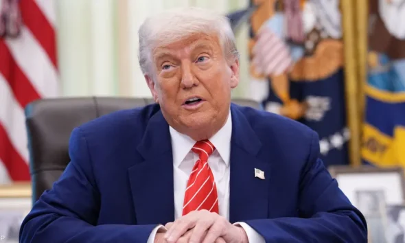 %d8%af%d9%88%d9%86%d8%a7%d9%84%d8%af %d8%aa%d8%b1%d8%a7%d9%85%d8%a8 1