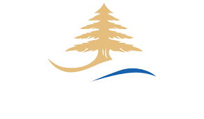 تحديث بشأن رحلات Cedar Waves بين جونيه ولارنكا