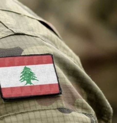 الجيش يفكك قنبلة بإبل السقي ويعثر على مسيرة بحلتا