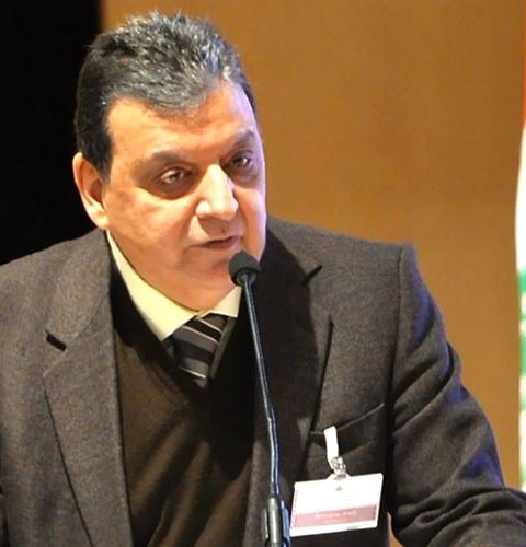 لبنانان في وطن واحد