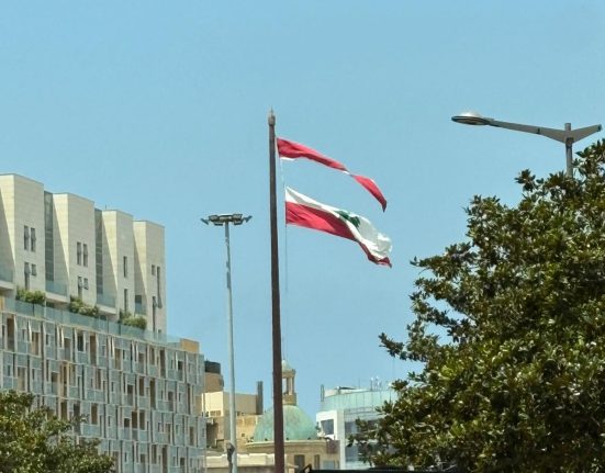 افرام: هل يعود العلم كاملاً أم يزداد لبنان تمزّقاً؟